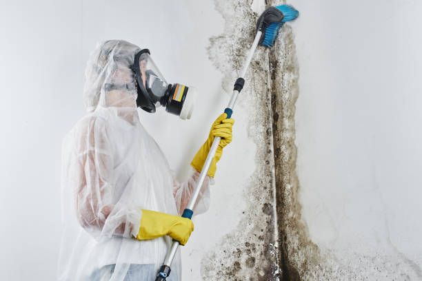 Best Mold Testing  in Nanuet, NY