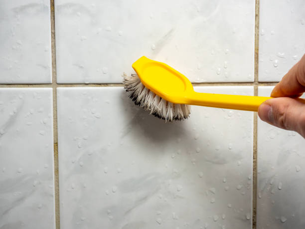 Best Mold Remediation  in Nanuet, NY