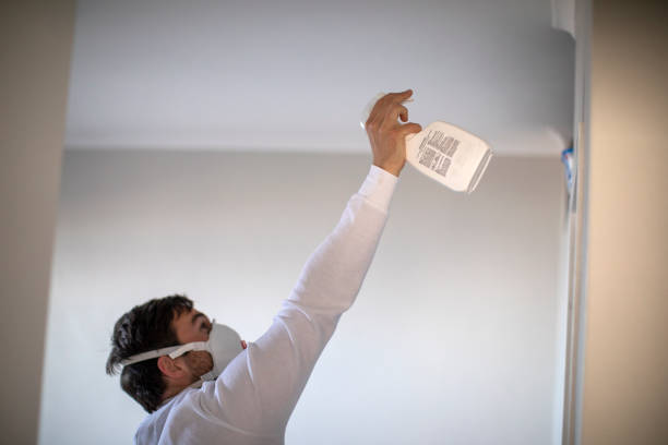 Best Mold Damage Repair  in Nanuet, NY