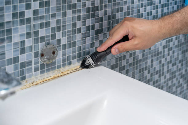 Best Black Mold Removal  in Nanuet, NY